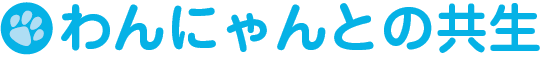 わんにゃんとの共生